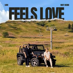 Feels Love (feat. Matt Bedini)