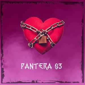 Pantera 03