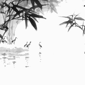 不溯