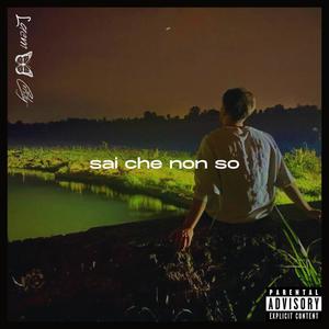 Sai che non so (feat. Cristy) (Explicit)