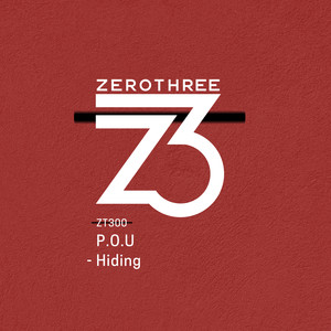 Hiding (Extended Mix)