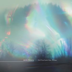Tell You Later (feat. Wilma (AU))