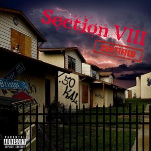 Section Vlll (Explicit)