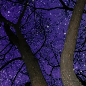 Metamorphosis (潮流舞蹈Bgm)