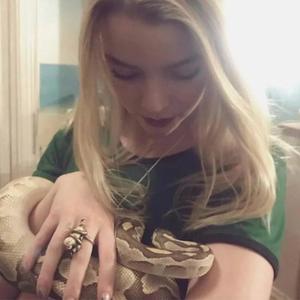 real bop **** (feat. dirtbound13)