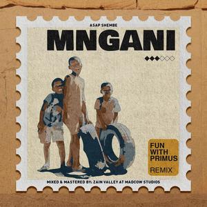 Mngani (FunWithPrimus Remix)