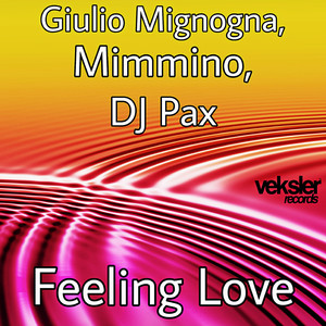 Feeling Love (Original Mix)