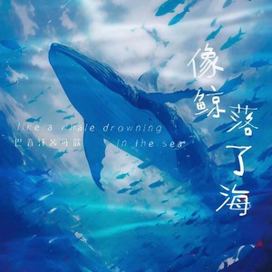 巴音汗 - 像鲸落了海 (伴奏)