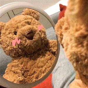 世界上没有真正的感同身受