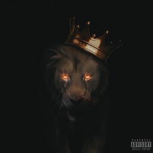 83 Lions (feat. Habilis Riccardo) (Explicit)