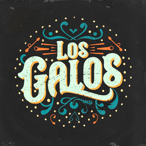 Los Galos - Volveras un Dia / Compañera mia