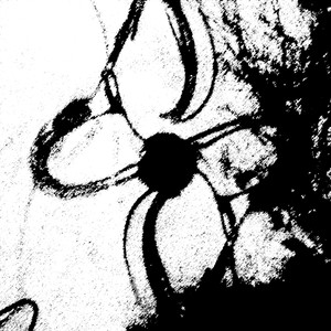 색맹 (color blindness)