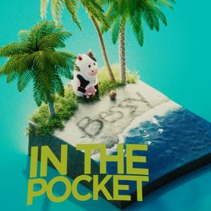 In the Pocket