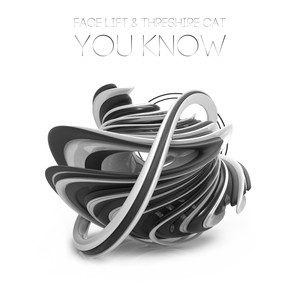 You Know (Original Mix)