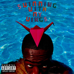 Swimming With My Wings (Explicit)