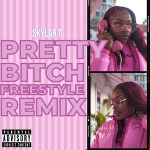 Pretty ***** Freestyle (Explicit)