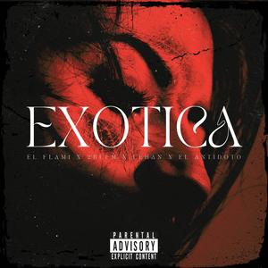 Exotica (feat. El antídoto, Lehan & 2bleM)