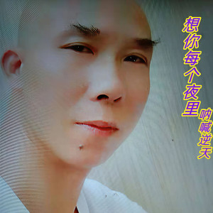 想你每个夜里