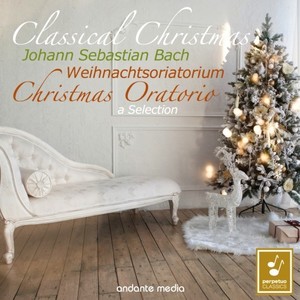 Christmas Oratorio in A Major, BWV 248, Cantata for the Third Day of Christmas - No. 29, Herr, dein Mitleid, dein Erbarmen (Soprano and Bass Aria Duetto)