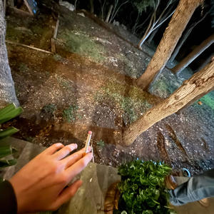 HURT (feat. Imari Reign) (Explicit)