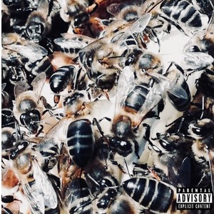 Birds and the Bees (Explicit)