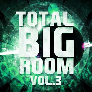 Total Bigroom, Vol. 3