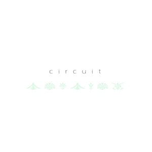 circuit