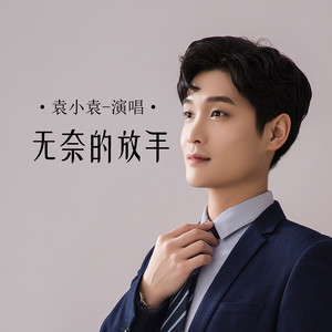 无奈的放手封面