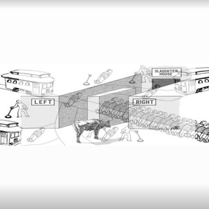 serendipitous evacuation of my cholinergic neurons 12-20-24 jam