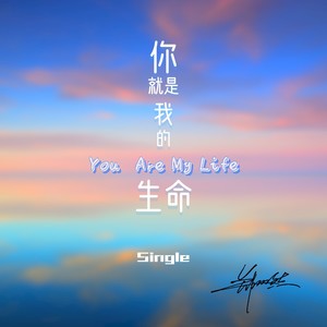 你就是我的生命 (伴奏)
