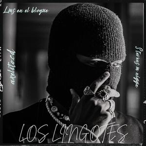 LOS LINGOTES (feat. Stevens M Nigga) (Explicit)