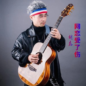 网恋受了伤DJ (伴奏)