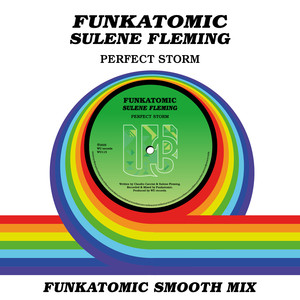 Perfect Storm (Funkatomic Smooth Mix)