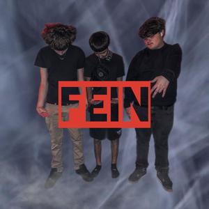 Fein (feat. FSR) [Explicit]