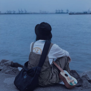 张婧懿-大乌小乌 (晨曦 remix)