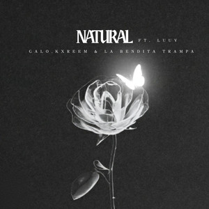 Natural (Explicit)