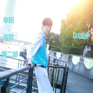 阜阳战歌第二部