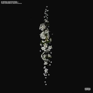 Gave Ya'll Flowers (Explicit)