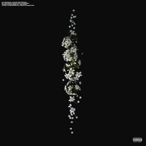 Gave Ya'll Flowers (feat. ShankOffTheJuice) (Explicit)