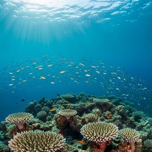 Yoga Nidra: A journey into the deep blue sea