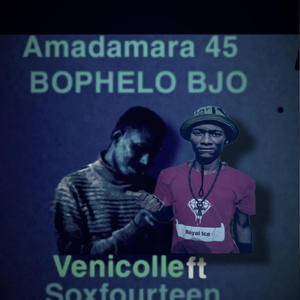 Bophelo bjo (feat. Soxfourteen) (Amadamara 45)