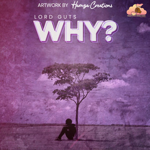 Why (Explicit)