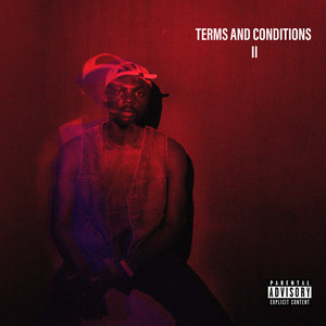 TERMS AND CONDITIONS II