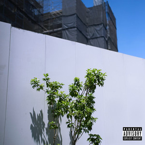 Roots&Leaves (feat. 柊人, in-d & NF Zessho) (Remix|Explicit)