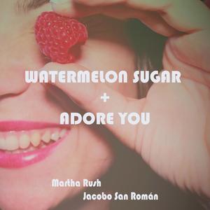 Medley: Watermelon Sugar / Adore You(feat. Martha Rush)