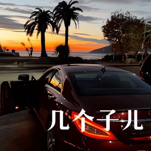 几个子儿 (小乔摇ovo)