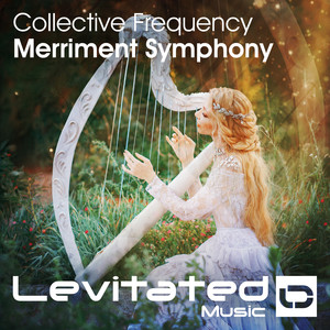 Merriment Symphony (Original Mix)