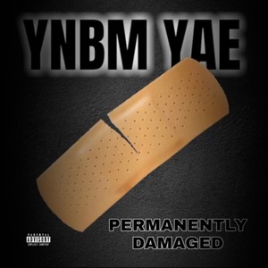 Permanently Damaged (Explicit)