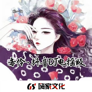 春庭雪 (DJ版)封面