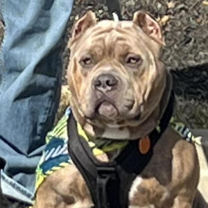 Round & Round (Explicit)